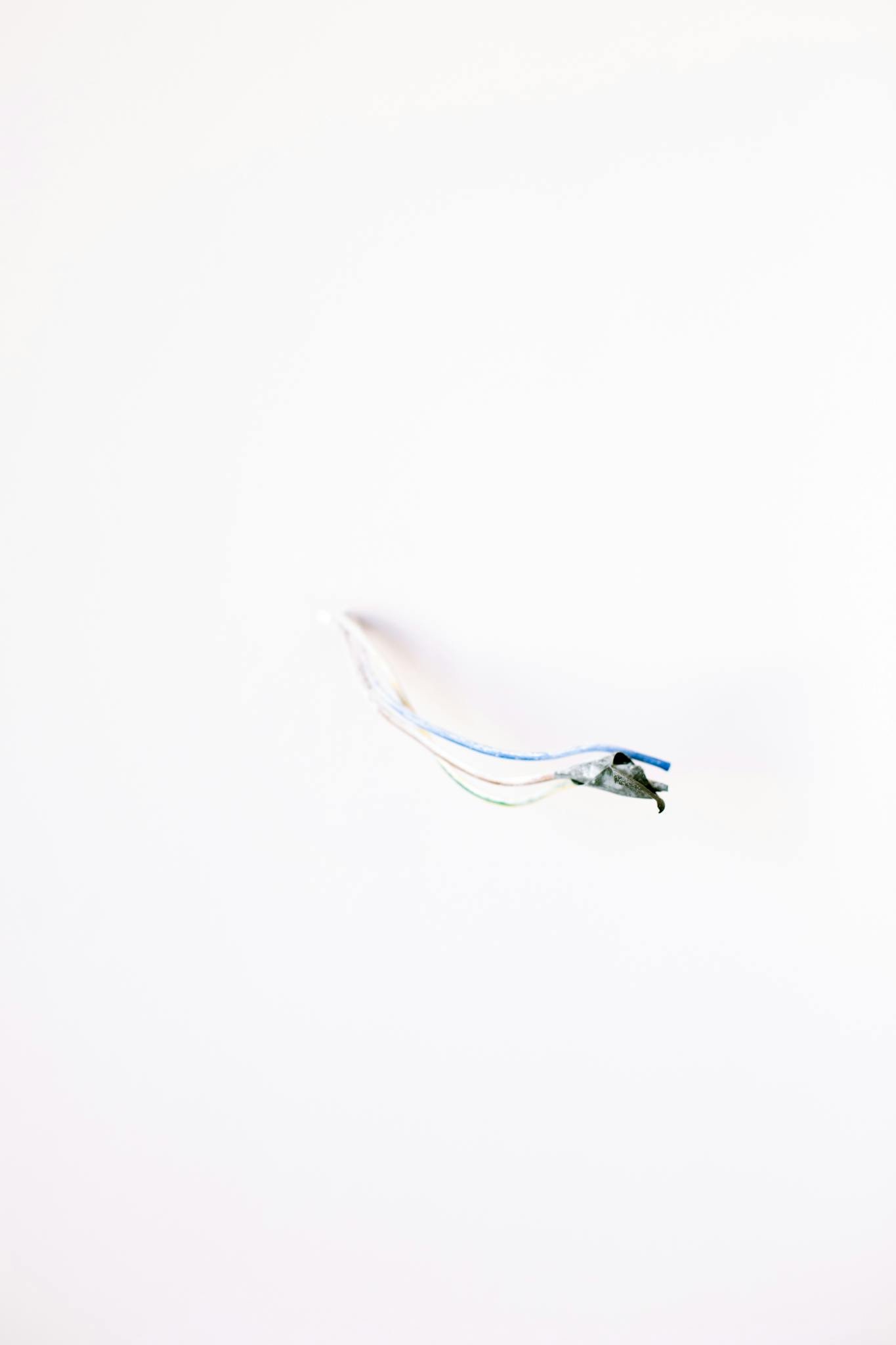 Minimalist photo of loose electrical wires on a white wall, symbolizing renovation.